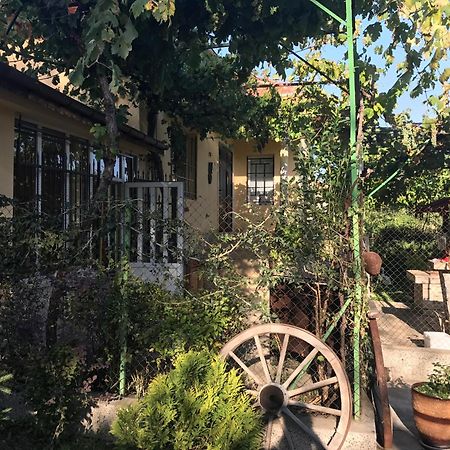 Guesthouse Planinsko Gnezdo Tŭzha Eksteriør bilde