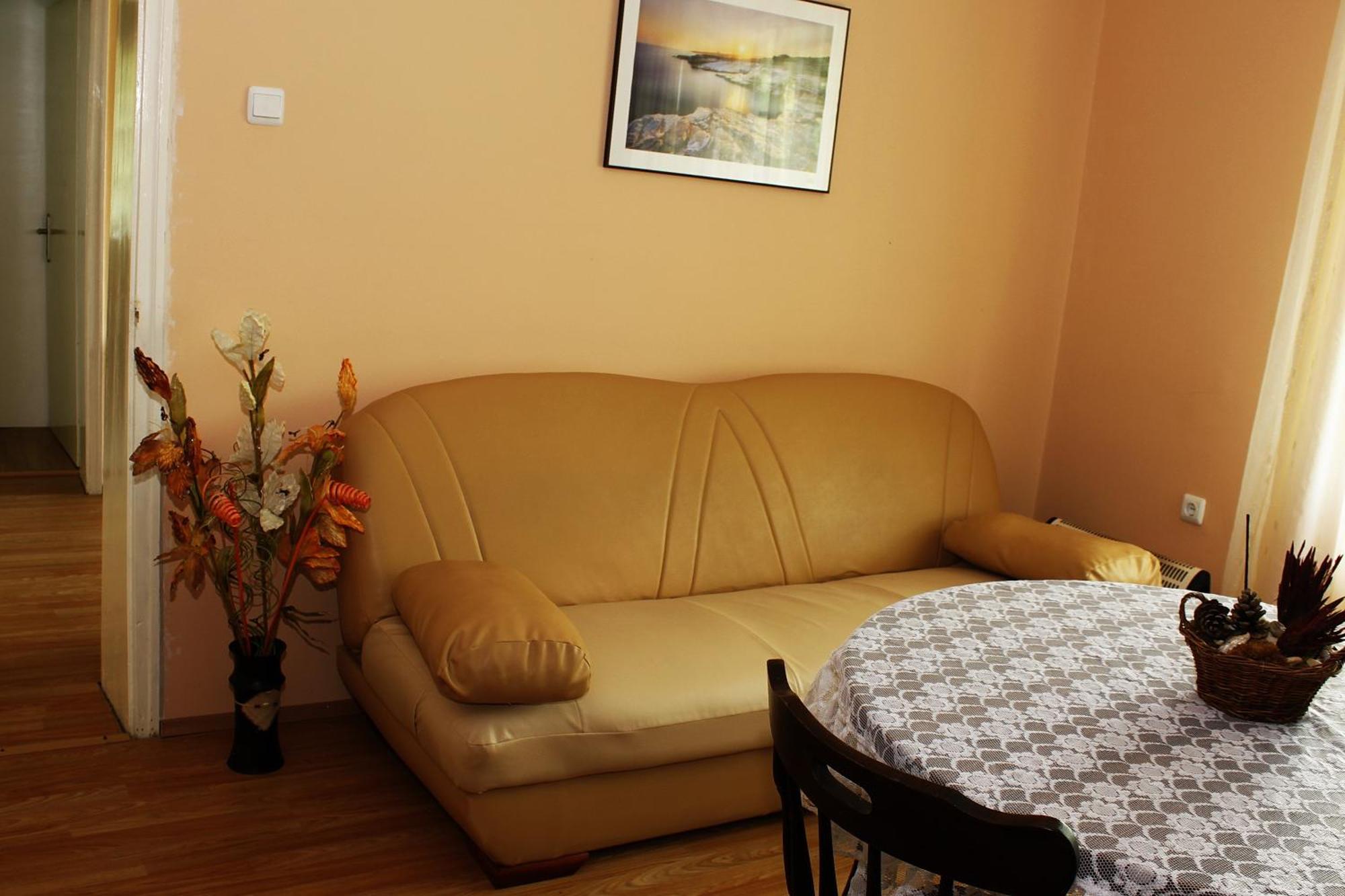 Guesthouse Planinsko Gnezdo Tŭzha Eksteriør bilde