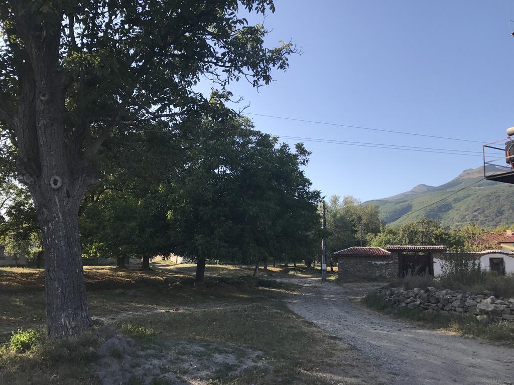 Guesthouse Planinsko Gnezdo Tŭzha Eksteriør bilde