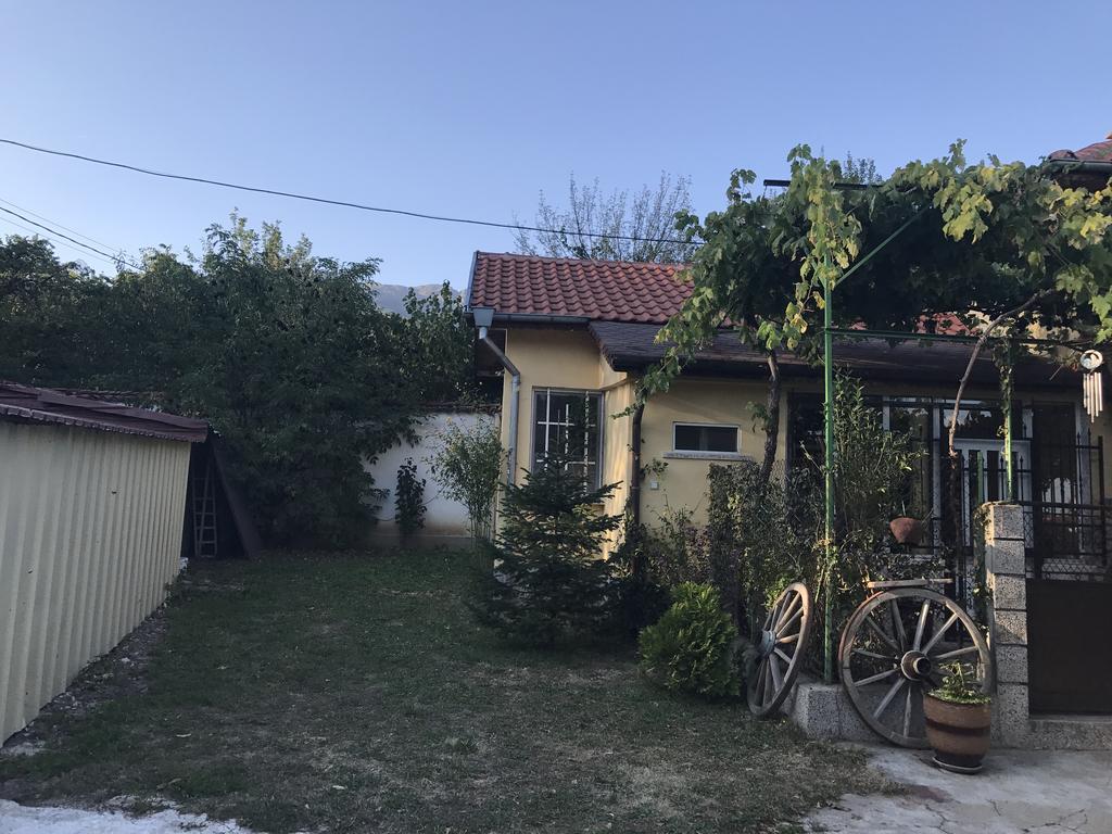 Guesthouse Planinsko Gnezdo Tŭzha Eksteriør bilde