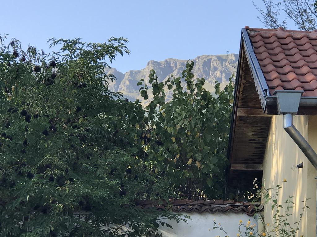 Guesthouse Planinsko Gnezdo Tŭzha Eksteriør bilde