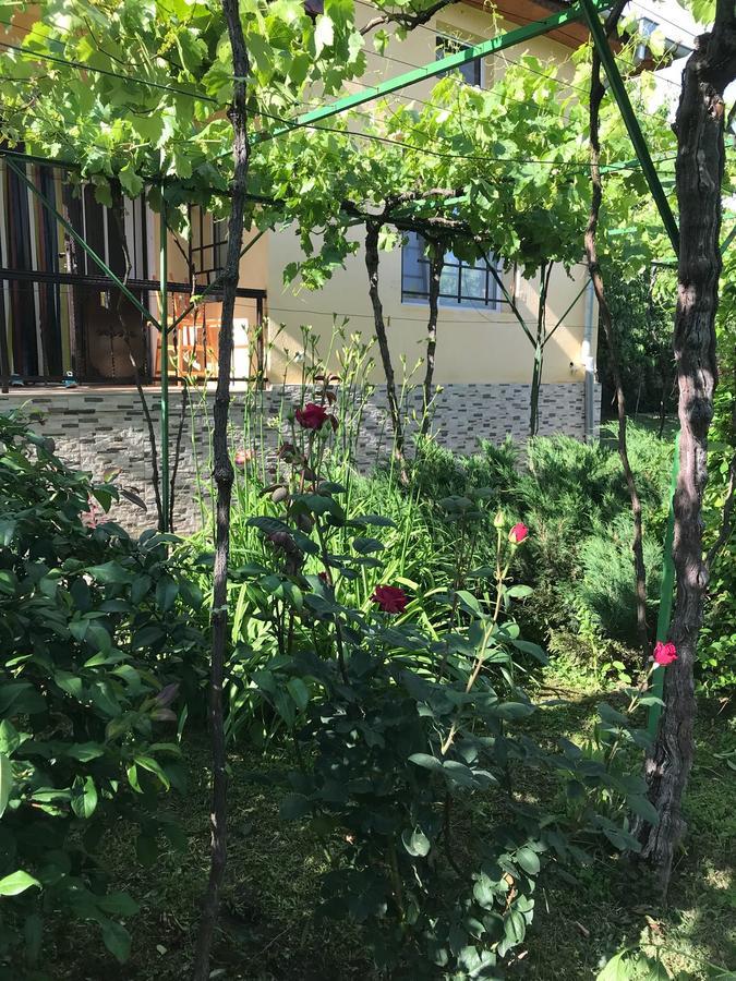 Guesthouse Planinsko Gnezdo Tŭzha Eksteriør bilde