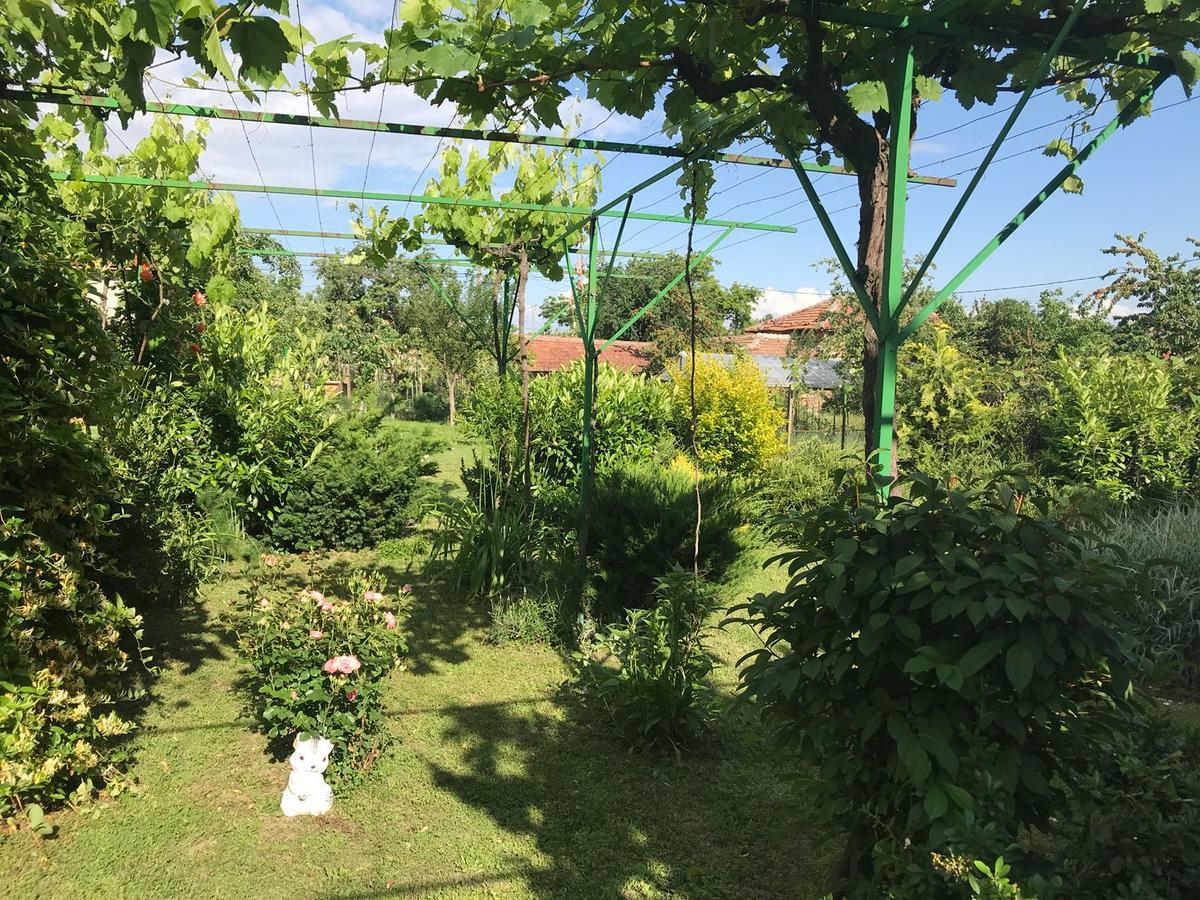 Guesthouse Planinsko Gnezdo Tŭzha Eksteriør bilde