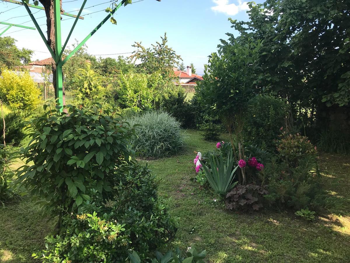 Guesthouse Planinsko Gnezdo Tŭzha Eksteriør bilde